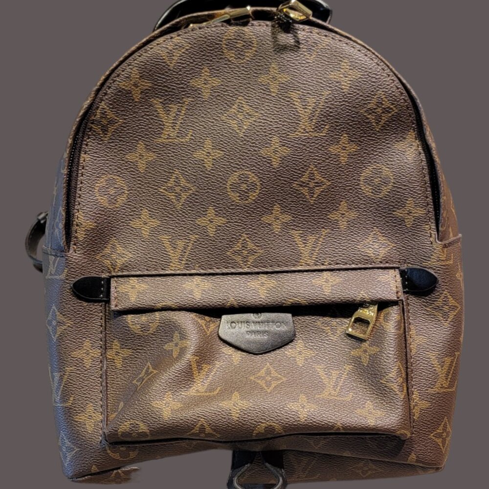 Louis Vuitton Palm Springs Backpack MM Brown Canvas Monogram